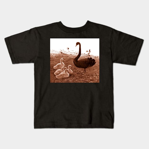 Swan and chicks : photograph Kids T-Shirt by rozmcq